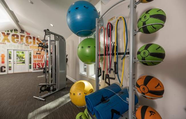 a fitness room with weights and balls and a treadmill