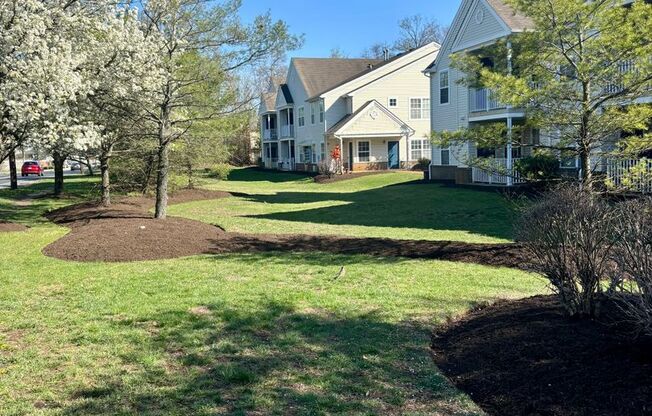SHENANDOAH VILLAGE