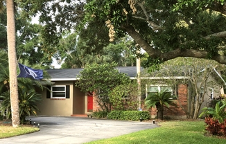 South Tampa 3 Bed, 2 Bath with Large Backyard