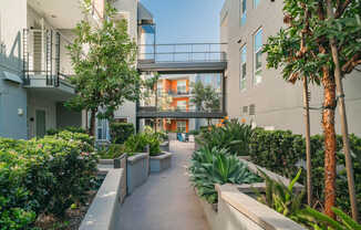 Courtyard