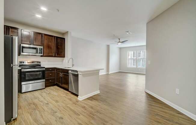 apartment kitchen and living room