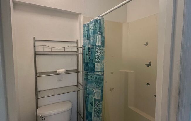 1 bed, 1 bath, $1,300