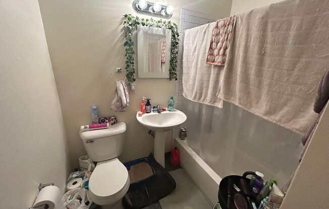 Studio, 1 bath, $750, Unit 202