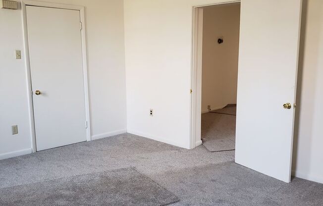 1 bed, 1 bath, $800, Unit Apt. 1