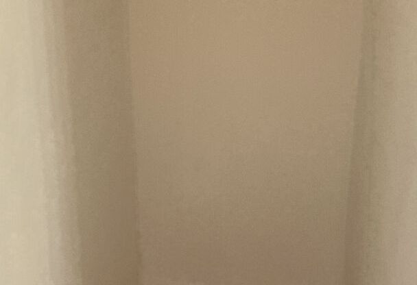 Studio, 1 bath, 460 sqft, $1,299, Unit 409