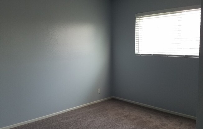 1 bed, 1 bath, 450 sqft, $1,795, Unit 244