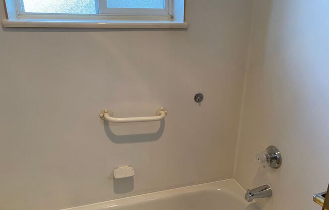 Studio, 1 bath, 441 sqft, $1,400, Unit 313