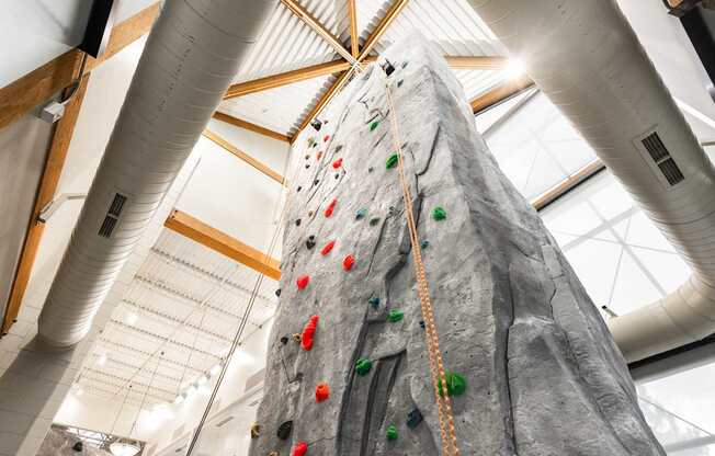A rock climbing wall in an indoor gym.