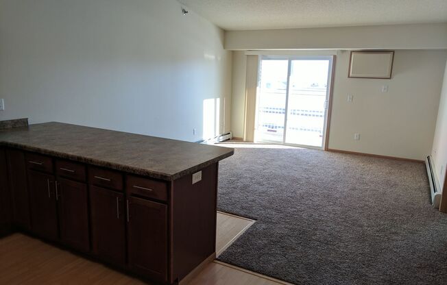 1 bed, 1 bath, 702 sqft, $995, Unit 5100-303