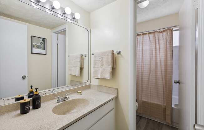 a bathroom with a sink and a mirror and a shower