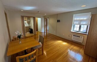 Large 1 bedroom Heat, Hot Water and WIFI Included, 2 blocks from Elm Park in WPI South Village