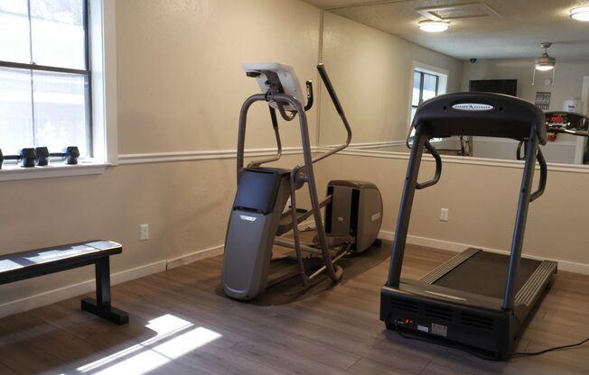 1 bed, 1 bath, 524 sqft, $1,309
