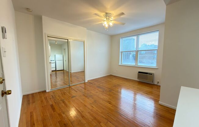 Studio, 1 bath, 300 sqft, $1,095, Unit 5959-604
