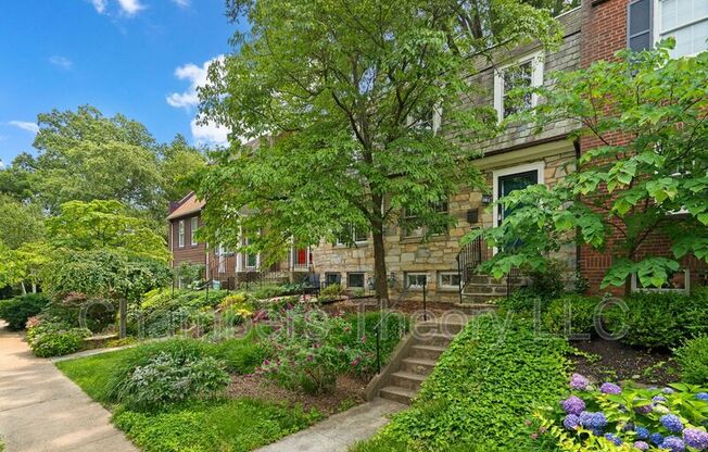 11 E ROSEMONT