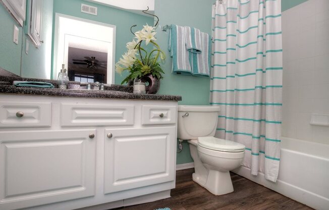 Modern, spacious bathrooms are in all Lincoln Shores apartment homes.