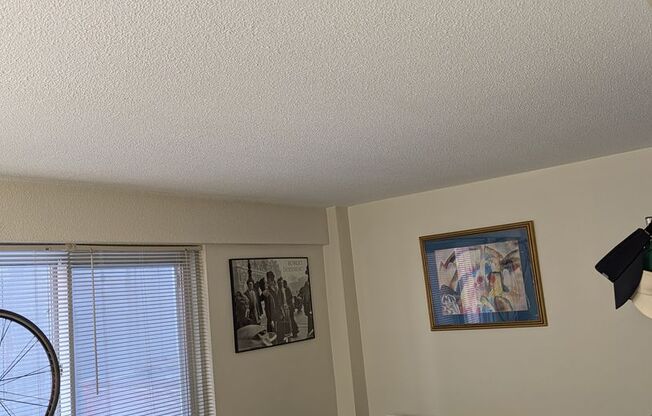 BostonView Apartments