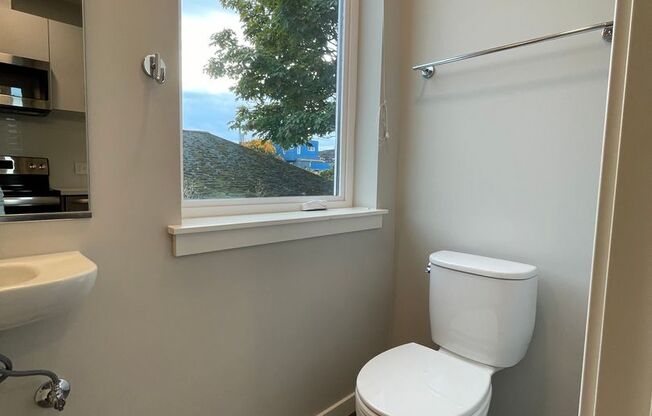 Studio, 1 bath, 243 sqft, $1,295, Unit 207