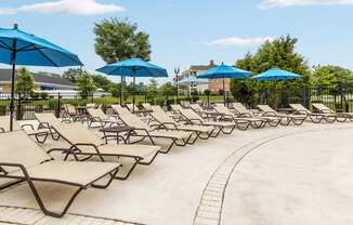 A row of sun loungers are arranged on a patio.