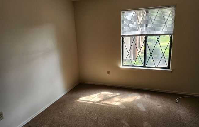 1 bed, 1 bath, 550 sqft, $900