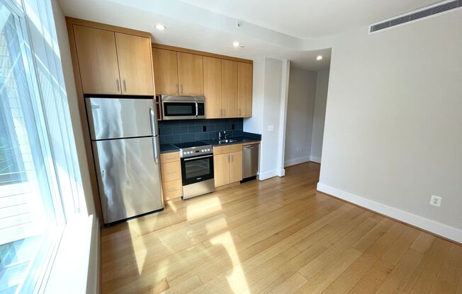1 bed, 1 bath, $2,600, Unit 202