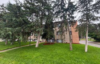 57 Sixth Avenue South - The Loon
