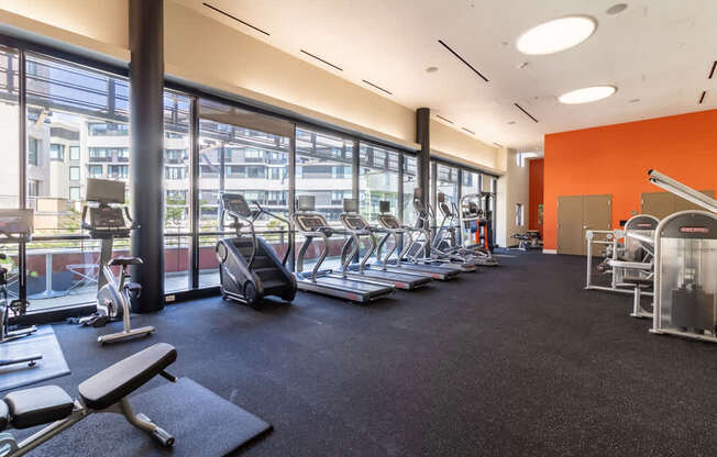 A gym with a variety of equipment including treadmills, weights, and exercise machines.