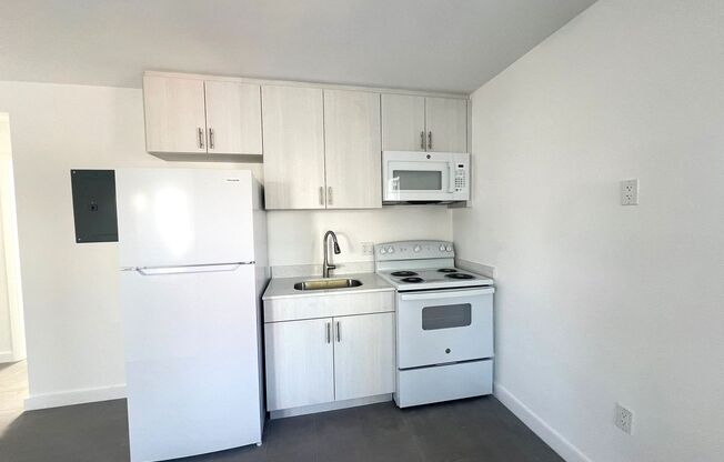 Newly Renovated Community Invigorating Miami's Downtown Urban Core!