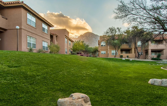 Lush landscape in Oro Valley