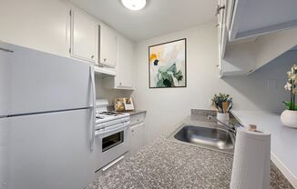 Partner-provided photo for $1125 unit