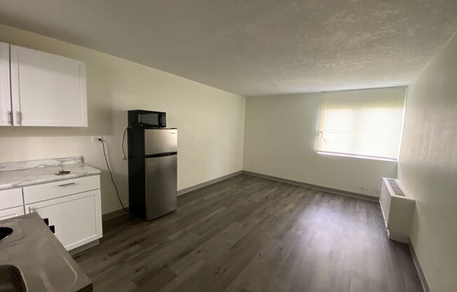 Studio, 1 bath, $725, Unit #142
