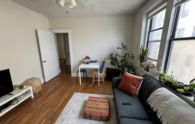 11 CAROL AVE