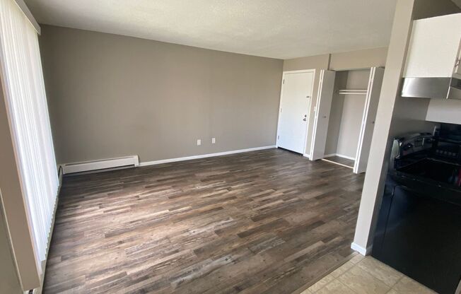 Studio, 1 bath, 600 sqft, $900, Unit 1053105