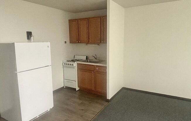 Studio, 1 bath, $695, Unit 504