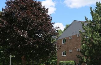 103 South Testa Drive