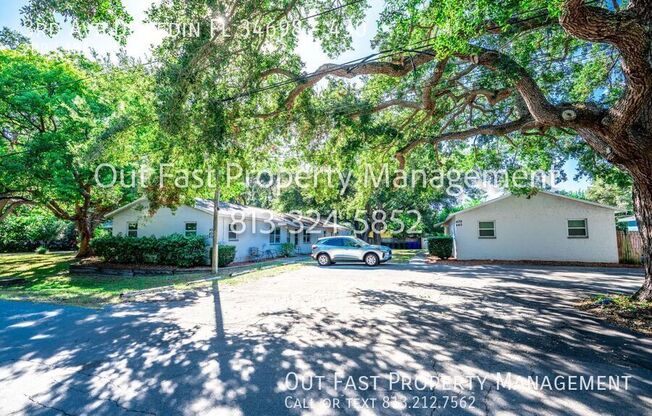 3rd Ave Dunedin Fl 34698