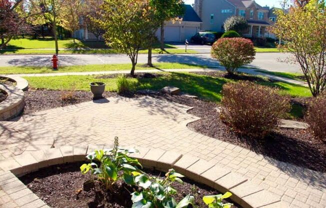Beautiful Home for Rent - Great Location!
