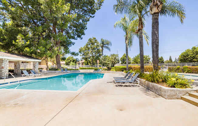 a swimming pool with chaise lounge chairs and palm trees