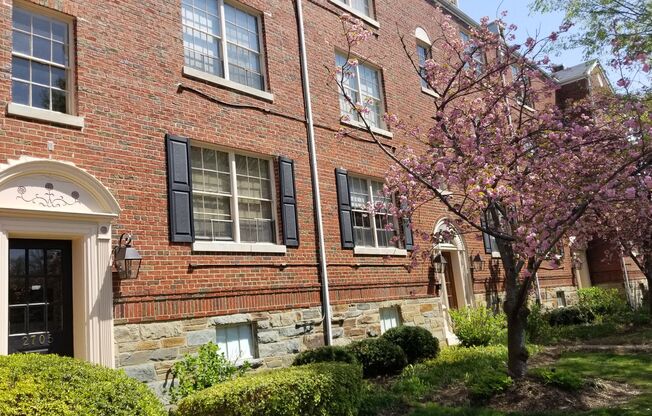 2 beds, 1 bath, 900 sqft, $2,700, Unit Alexandria Apartment Associates LLC-ALAPTS-MV012