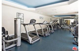 Studio, , $1,595, Unit 102