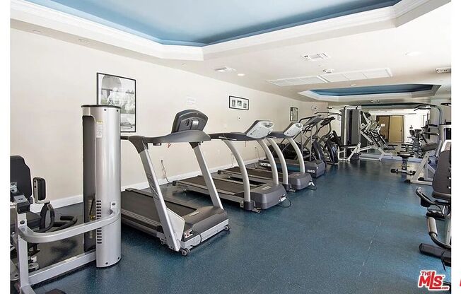 Studio, , $1,595, Unit 102