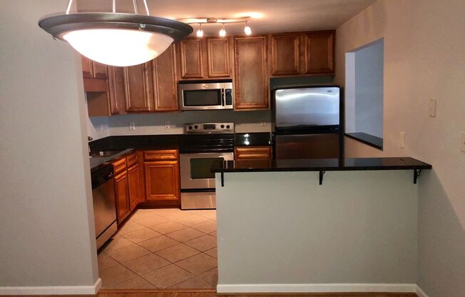 Very Spacious 2bd/2ba Condo in Brookhaven w/ Pool and Large Green Space!
