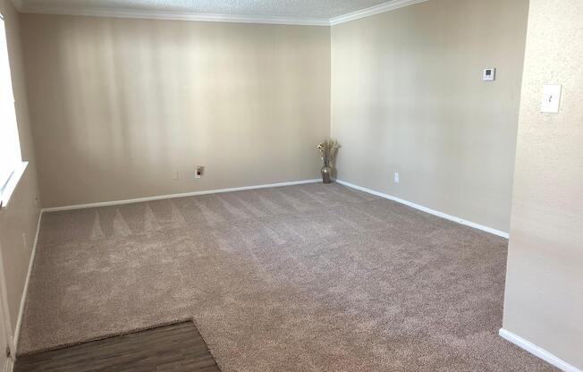 SPACIOUS LIVING ROOMS