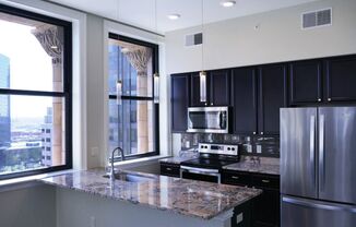 2 beds, 2 baths, 1,000 sqft, $3,600, Unit 1401