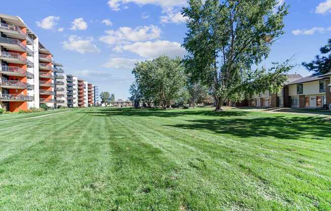 A grassy field with a tree and apartment buildings in the background.