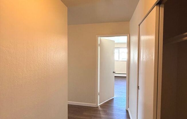 3125 Turk