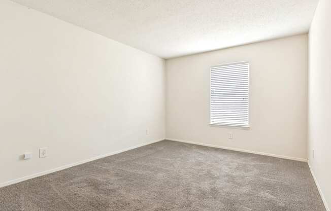 A room with a carpeted floor and a window with blinds.