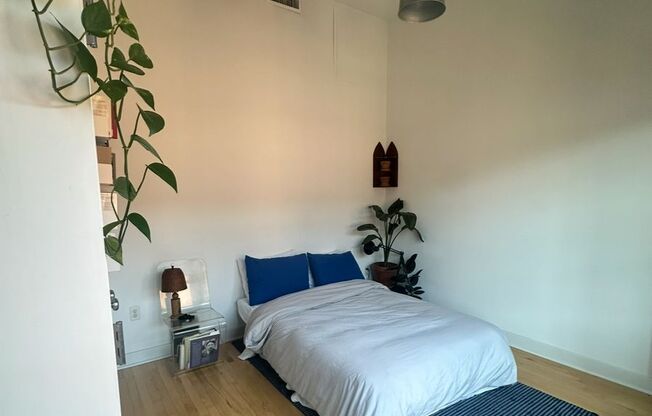 1 bed, 1 bath, 650 sqft, $1,800, Unit 304