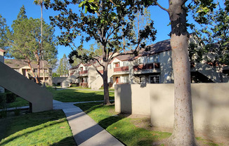 Open green space with beautiful trees between buildings at Northwood Apartments in Upland, California.