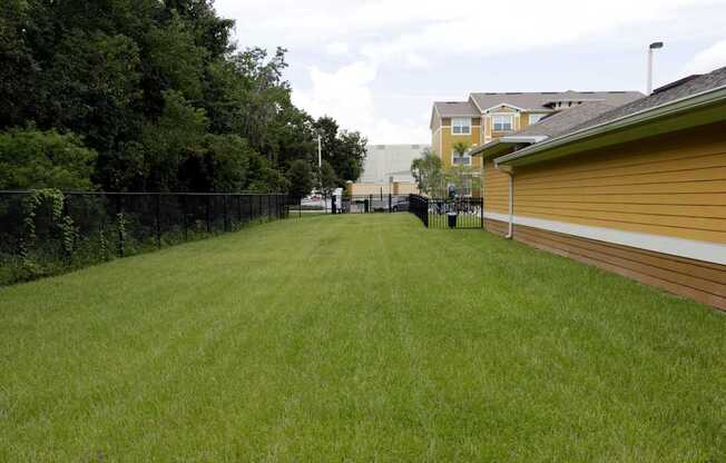 A grassy field with a fence and houses in the background.