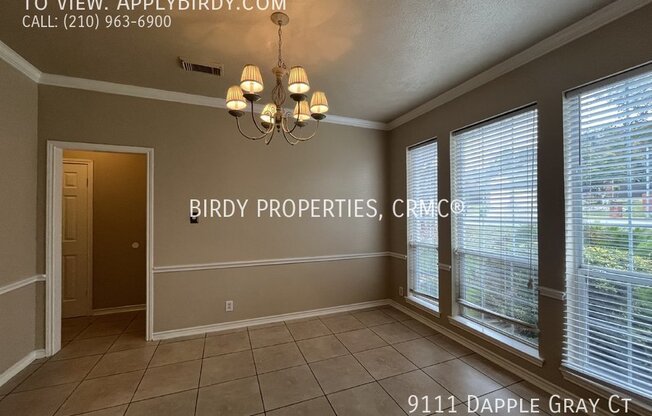 9111 DAPPLE GRAY CT